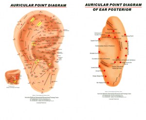 Ear Chart, Right Ear