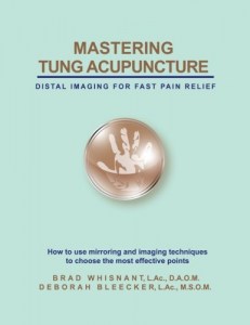 Mastering Tung Acupuncture: Distal Imaging for Fast Pain Relief, 2nd Edition