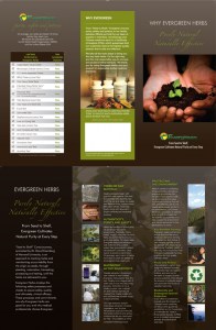 Educational Patient Brochures: Why Evergreen Herbs (50 brochures)